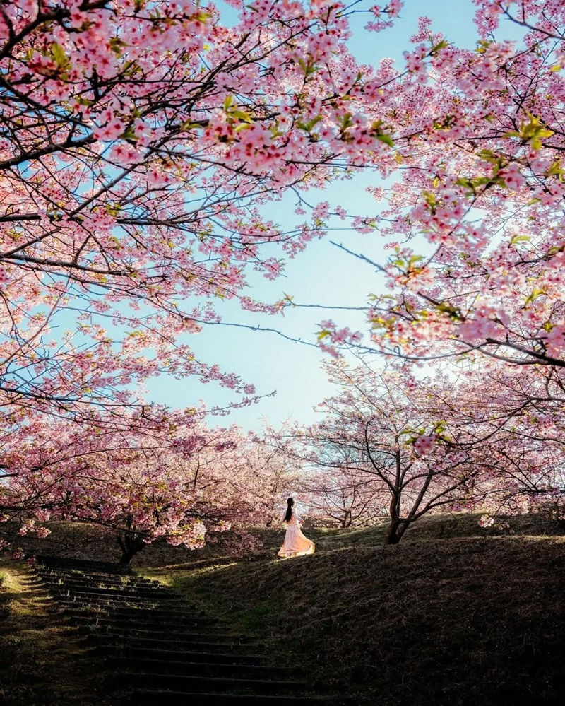 [摄影图包][日本の絶景(raw_japan_)]instagram图包[7535P]
