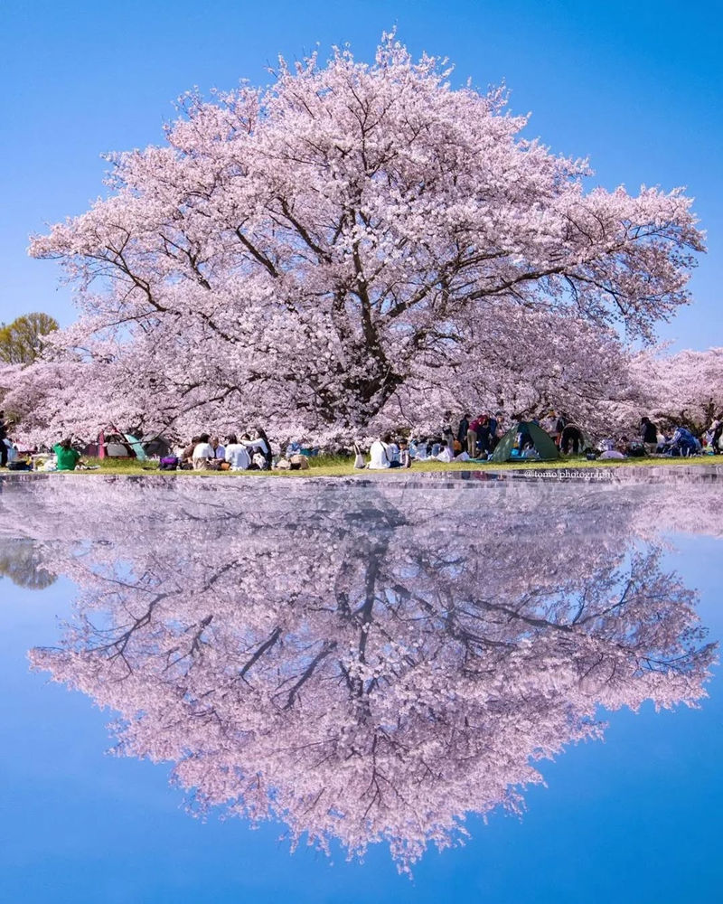 [摄影图包][日本の絶景(raw_japan_)]instagram图包[7535P]