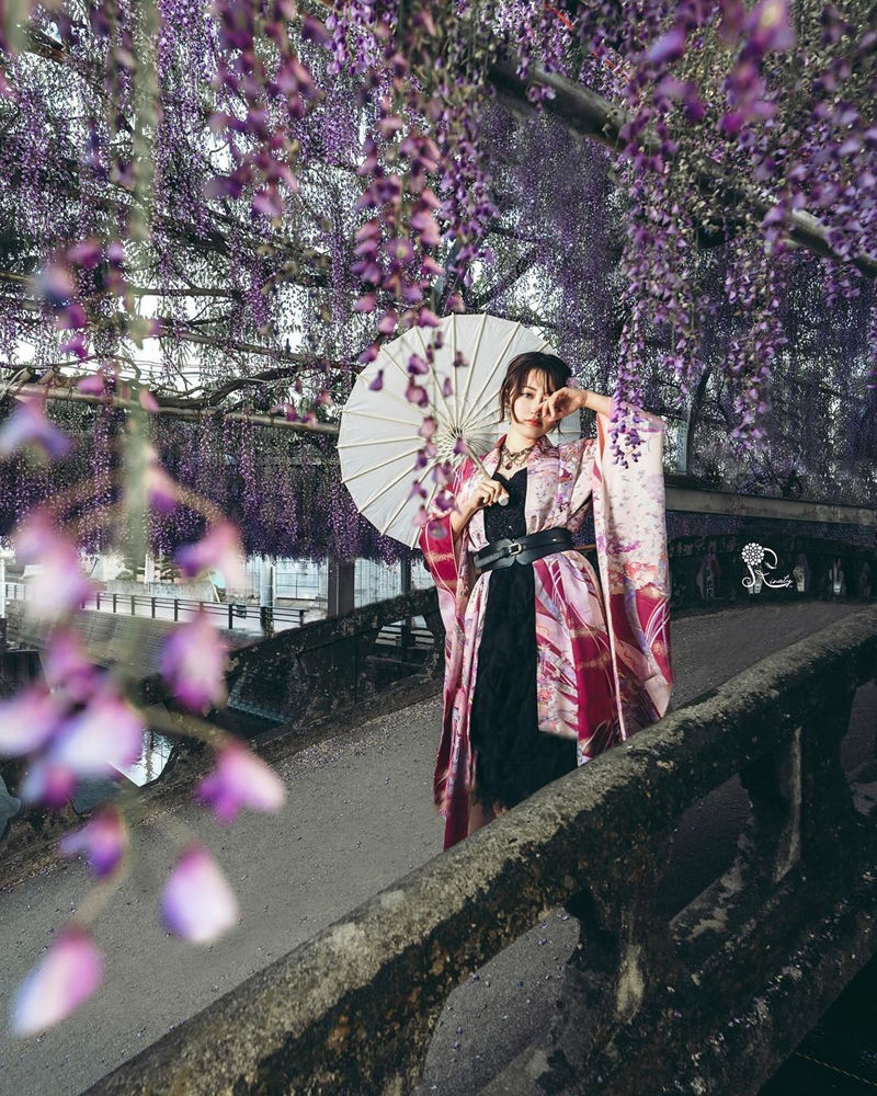 [摄影图包][日本の絶景(raw_japan_)]instagram图包[7535P]