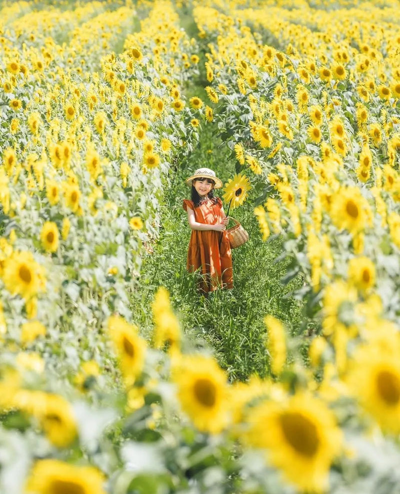 [摄影图包][日本の絶景(raw_japan_)]instagram图包[7535P]