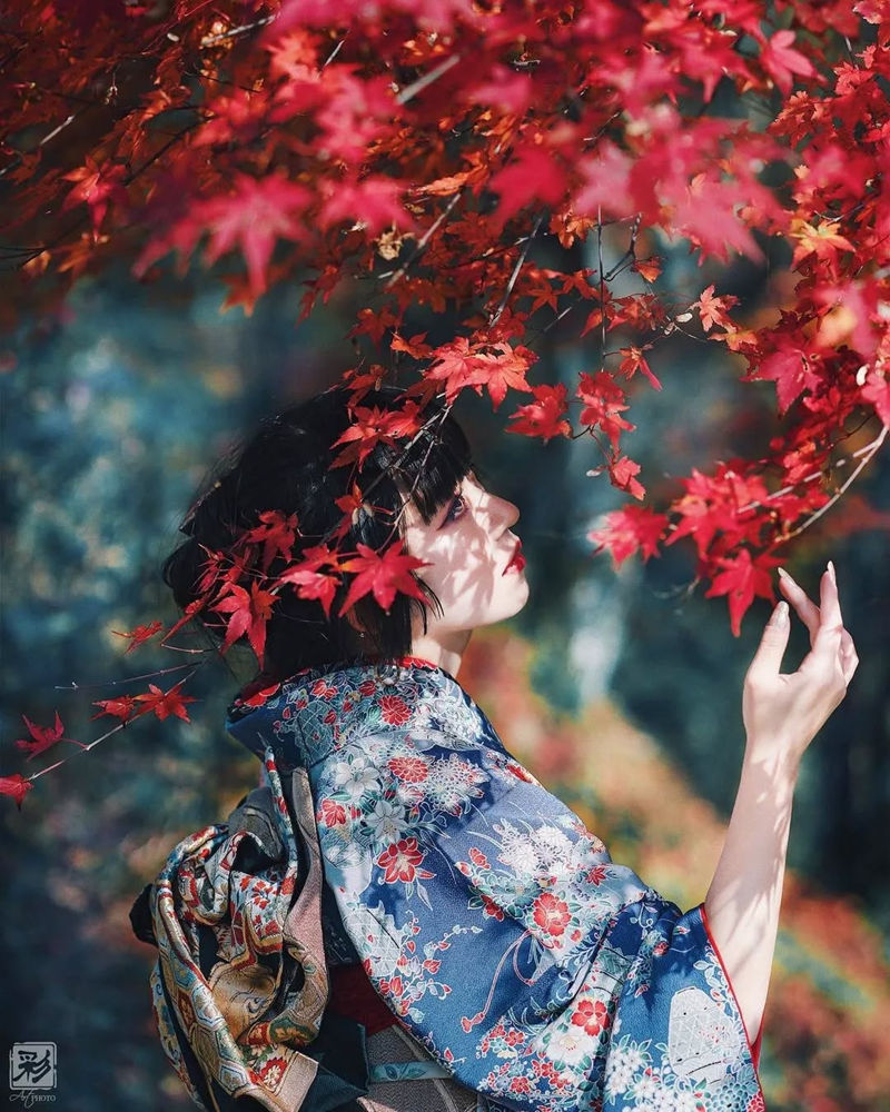 [摄影图包][日本の絶景(raw_japan_)]instagram图包[7535P]