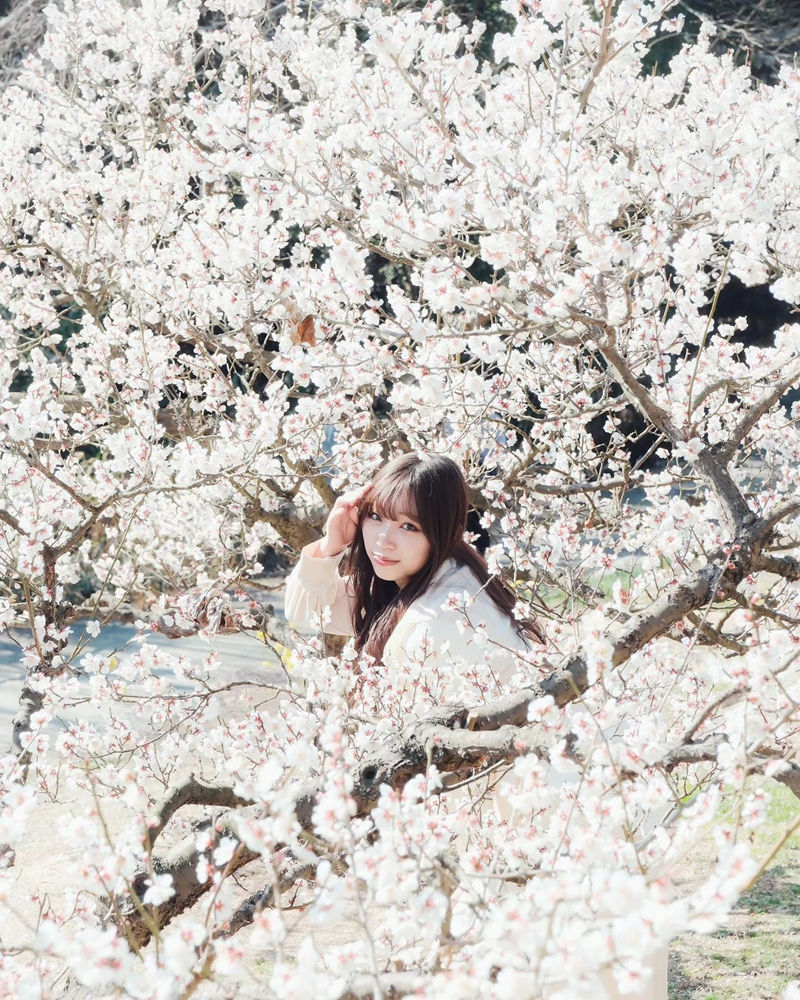 [摄影图包][日本の絶景(raw_japan_)]instagram图包[7535P]