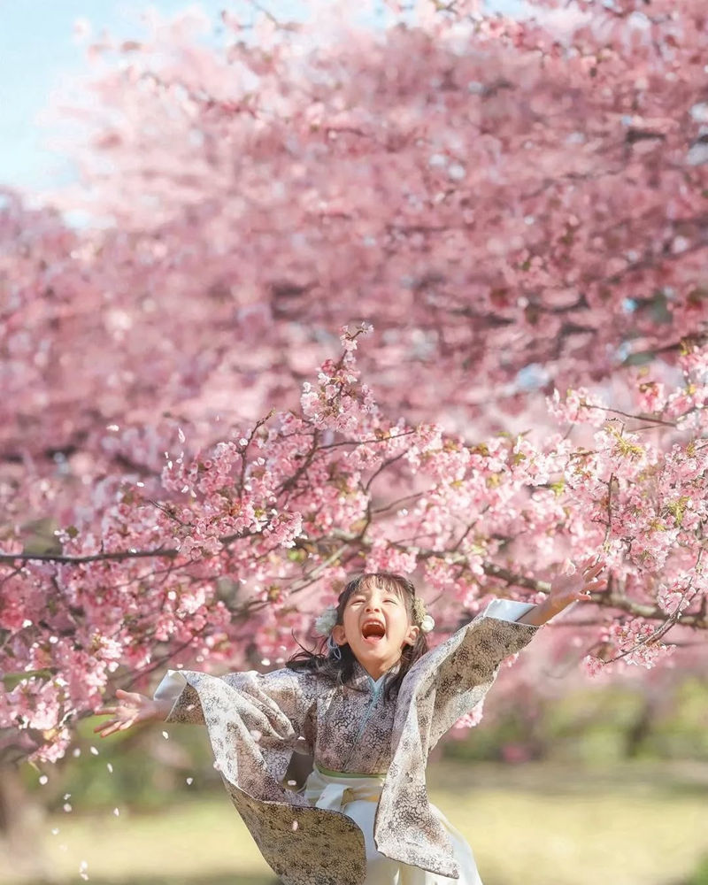 [摄影图包][日本の絶景(raw_japan_)]instagram图包[7535P]
