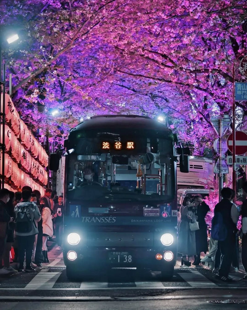 [摄影图包][NIGHTSHOTS(raw_nightshots)]instagram图包[4873P]