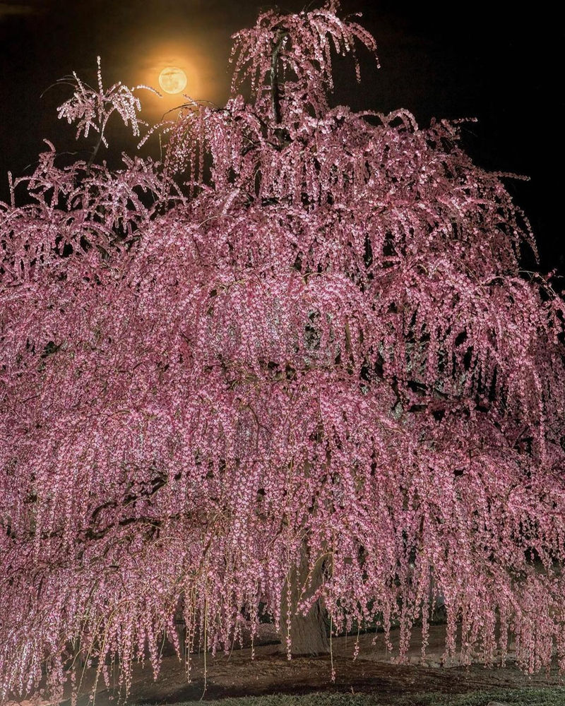 [摄影图包][NIGHTSHOTS(raw_nightshots)]instagram图包[4873P]