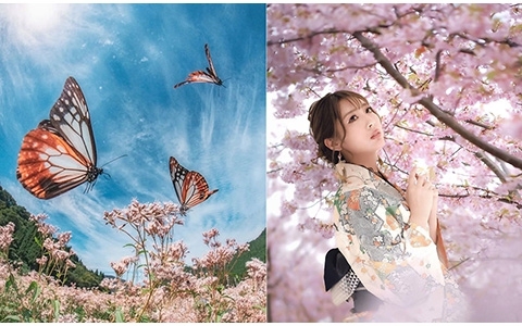 [摄影图包][日本の絶景(raw_tokyo_)]instagram图包[3598P]