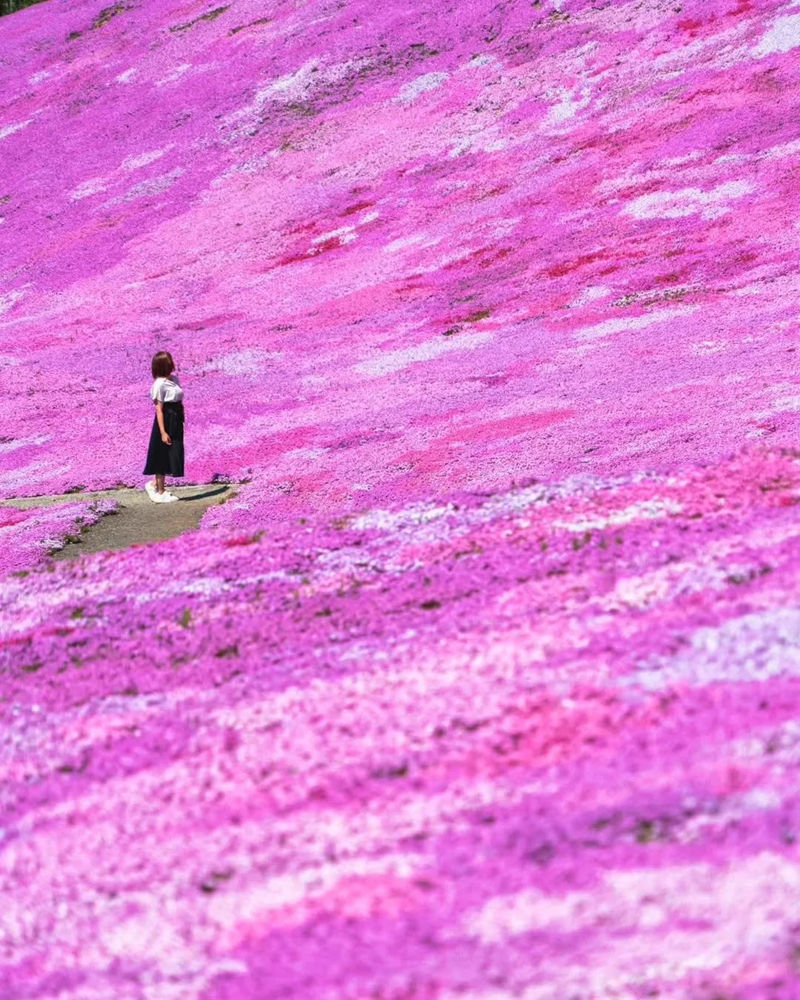 [摄影图包][日本の絶景(raw_tokyo_)]instagram图包[3598P]