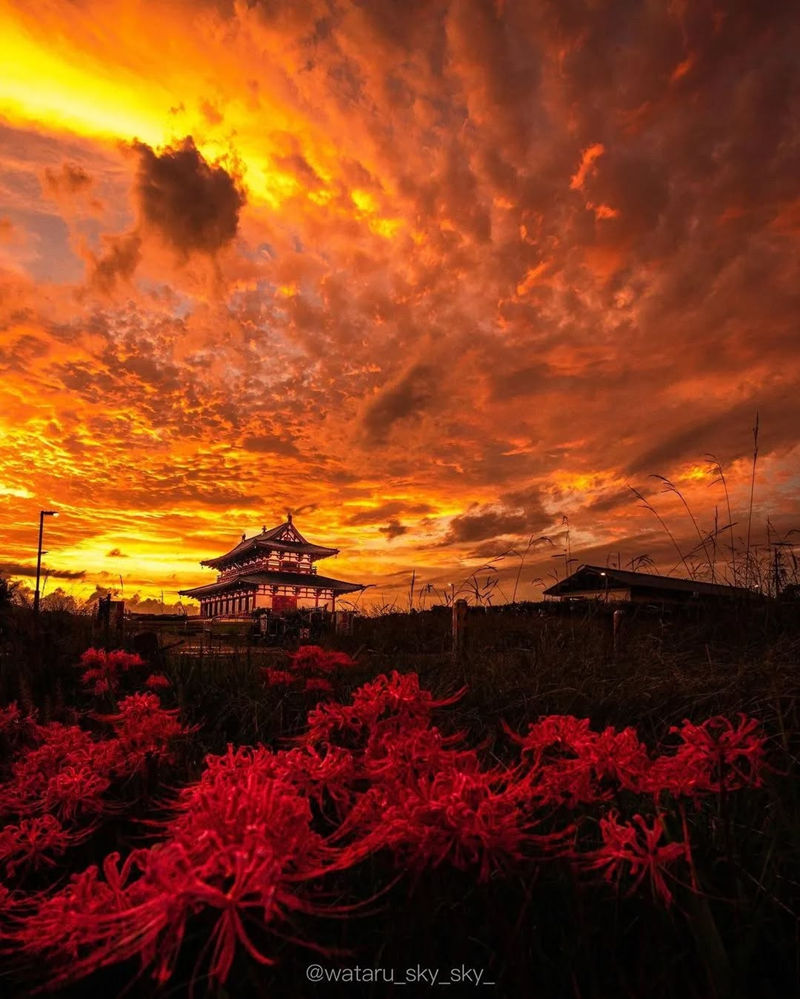 [摄影图包][日本の絶景(raw_tokyo_)]instagram图包[3598P]