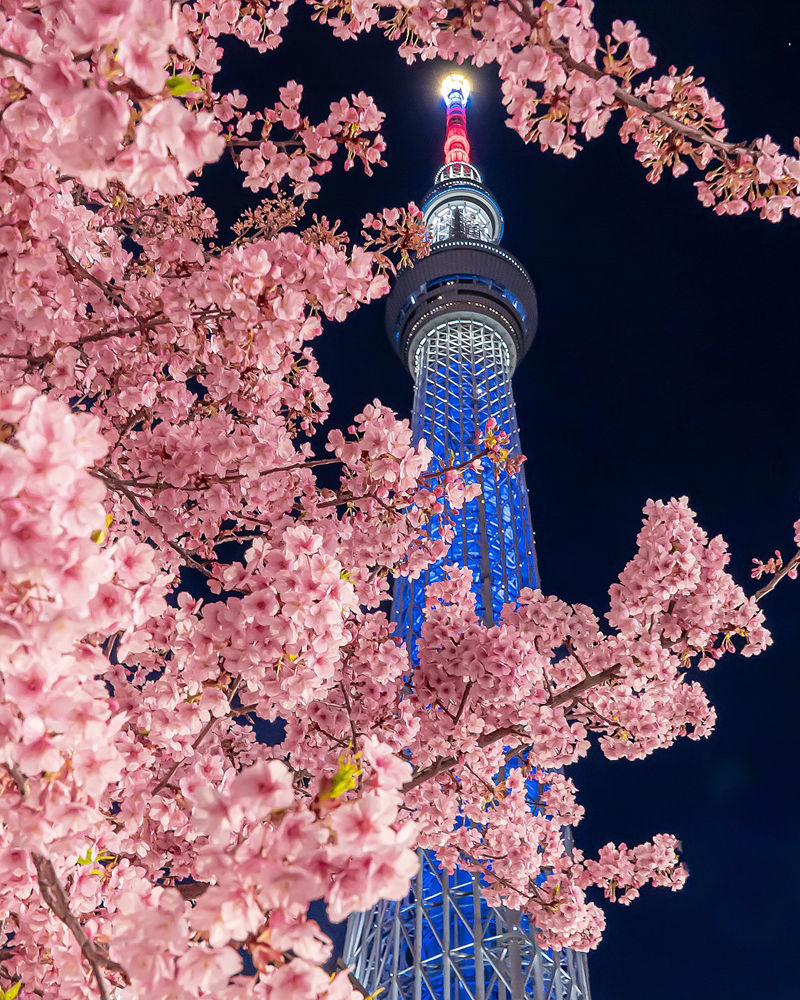 [摄影图包][日本の絶景(raw_tokyo_)]instagram图包[3598P]