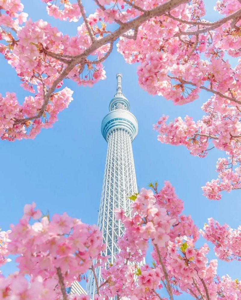 [摄影图包][日本の絶景(raw_tokyo_)]instagram图包[3598P]