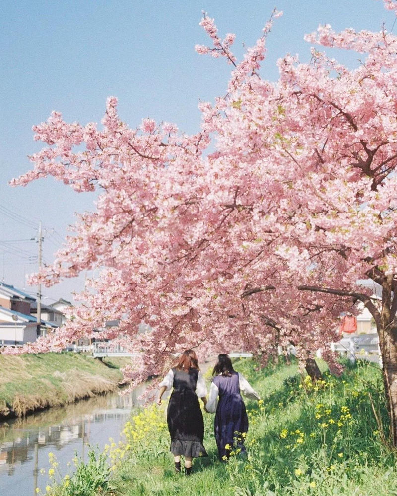 [摄影图包][増田彩来(sara_photo_912)]instagram图包[5432P]