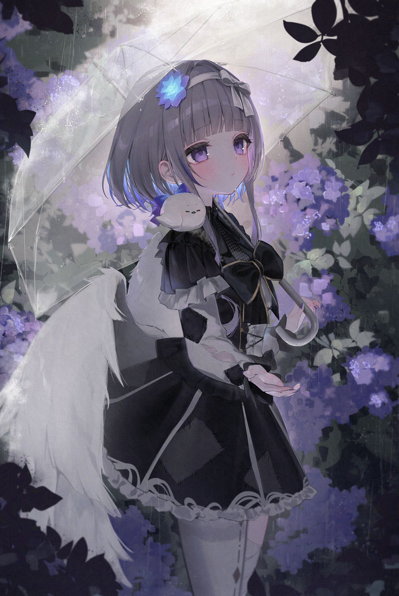 [会员][たまふ りん(tamafu rin)]Pixiv+instagram+推特图片包[355P]