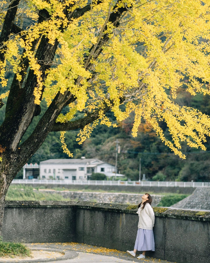 [摄影图包][藤島靖佳(yasuka)]instagram图包[5620P]