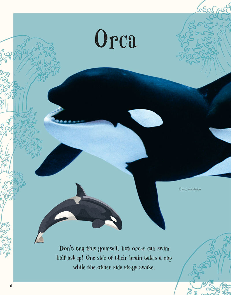 [画集]An Anthology of Intriguing Animals[226P]