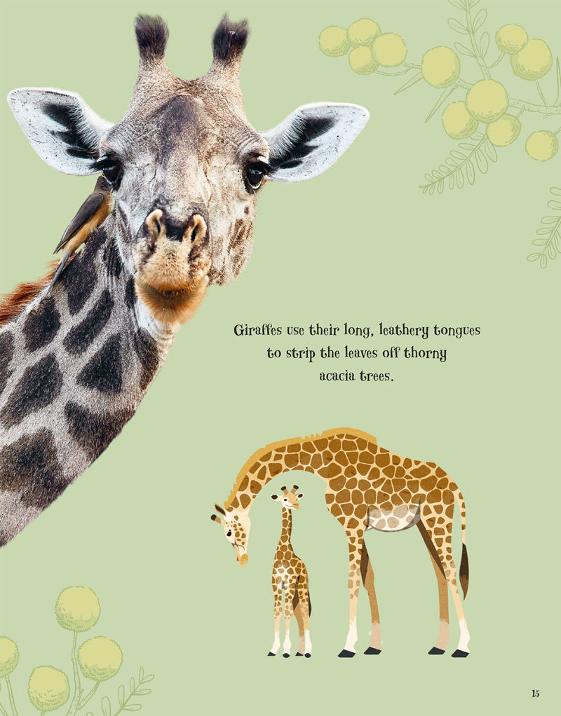 [画集]An Anthology of Intriguing Animals[226P]