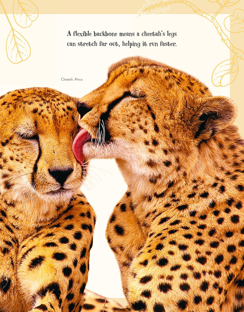 [画集]An Anthology of Intriguing Animals[226P]