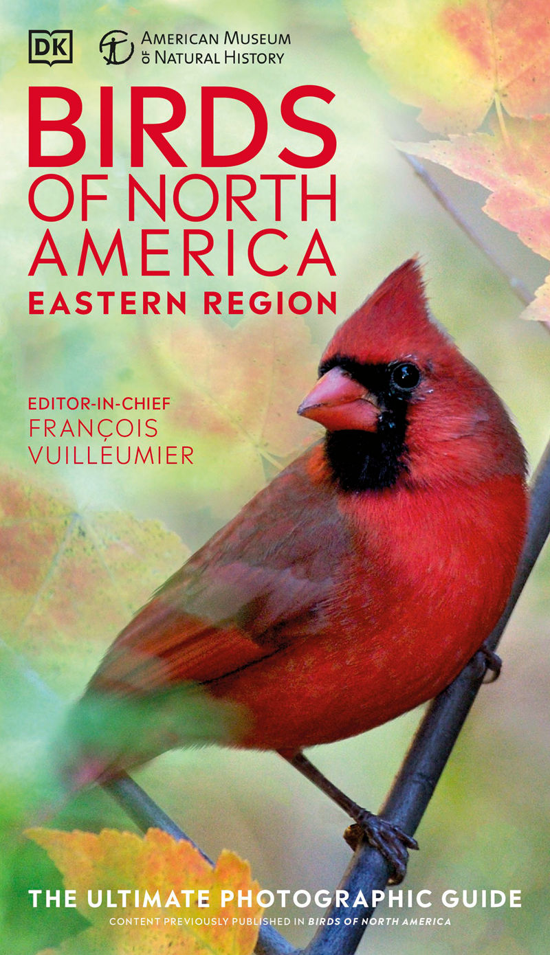 [画集]Birds of North America Eastern Region[480P]