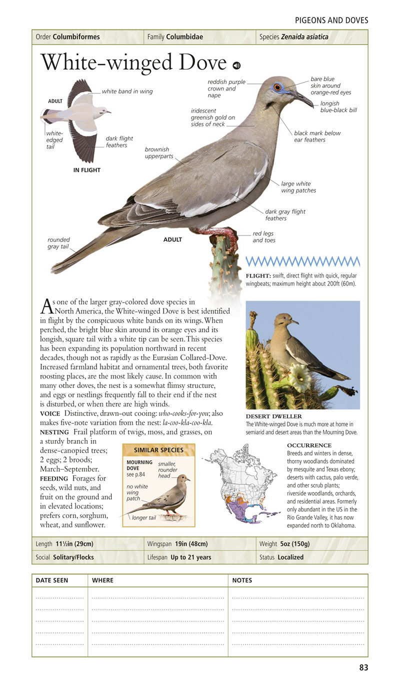 [画集]Birds of North America Eastern Region[480P]