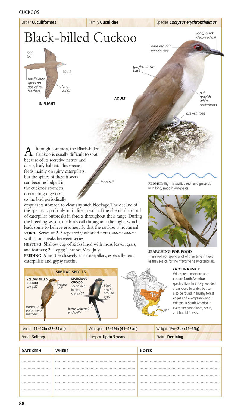 [画集]Birds of North America Eastern Region[480P]
