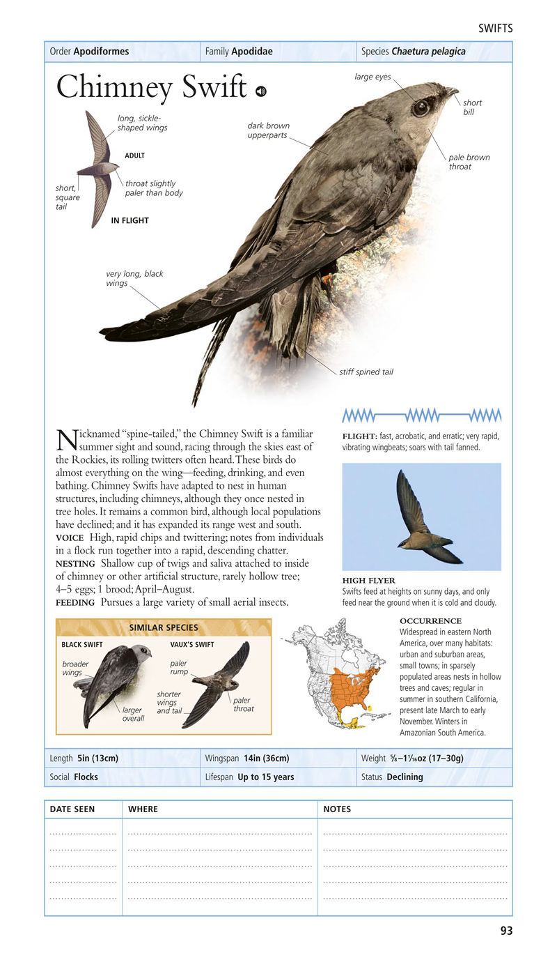 [画集]Birds of North America Eastern Region[480P]