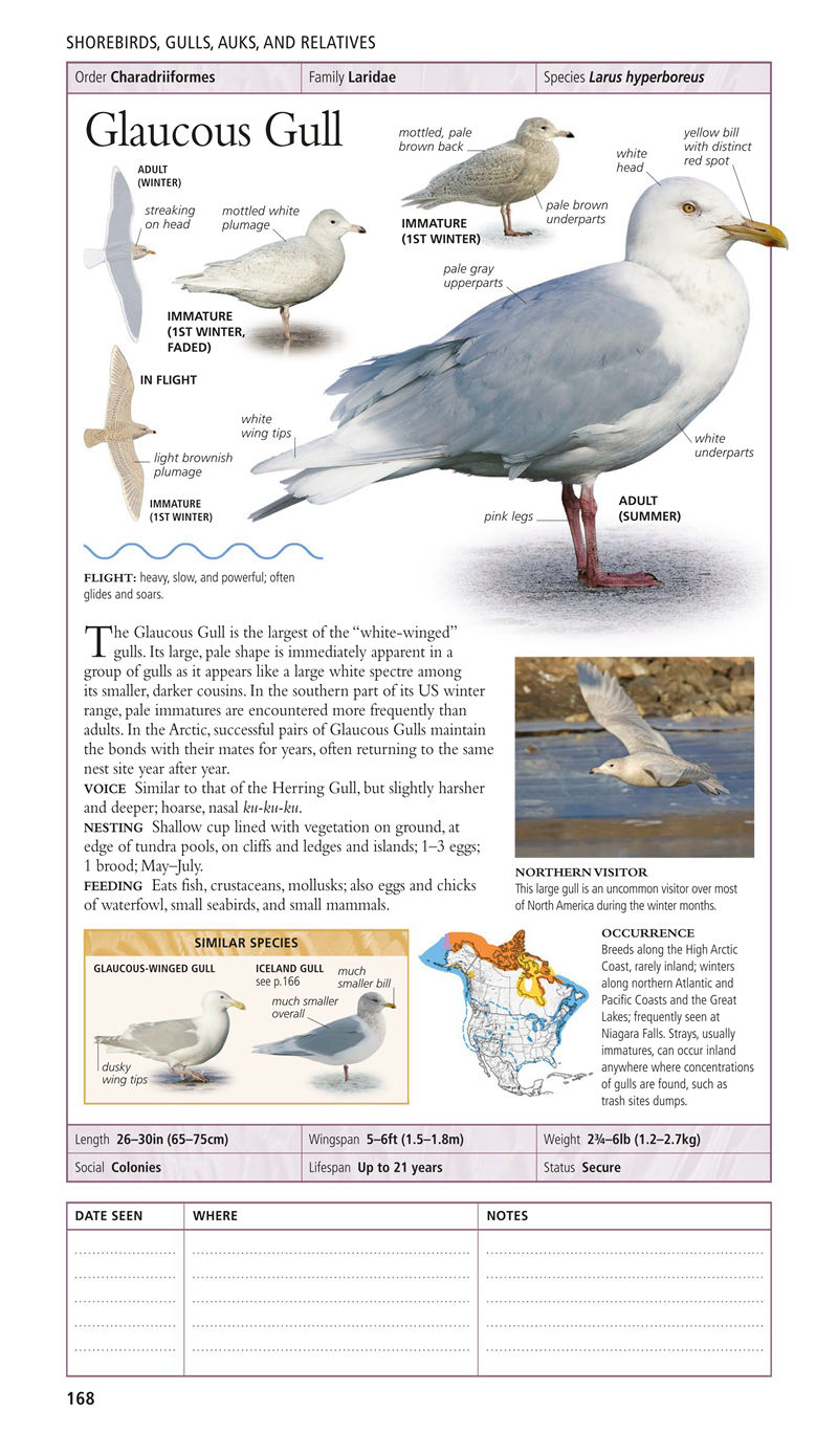 [画集]Birds of North America Eastern Region[480P]