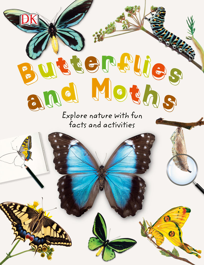[画集]Butterflies and Moths[59P]