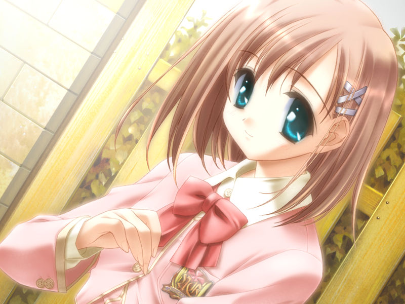 [游戏CG][画野朗 魚 ぽん酢 植田亮]Canvas DVD ～セピア色のモチーフ～ 精选CG[147P]