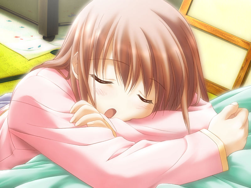 [游戏CG][画野朗 魚 ぽん酢 植田亮]Canvas DVD ～セピア色のモチーフ～ 精选CG[147P]