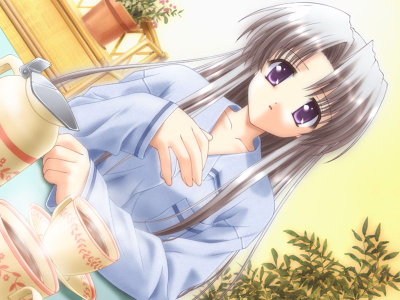 [游戏CG][画野朗 魚 ぽん酢 植田亮]Canvas DVD ～セピア色のモチーフ～ 精选CG[147P]