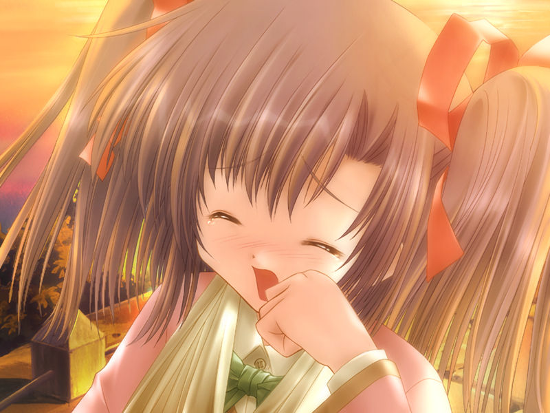 [游戏CG][画野朗 魚 ぽん酢 植田亮]Canvas DVD ～セピア色のモチーフ～ 精选CG[147P]