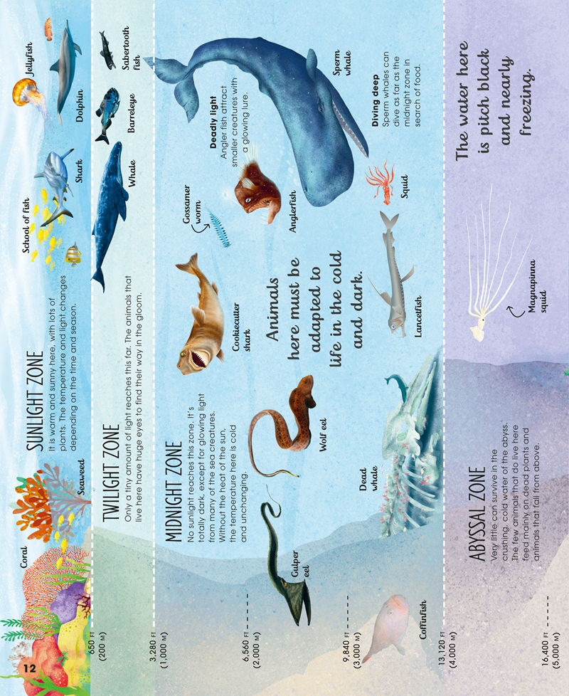 [画集]Earth's Incredible Oceans[82P]