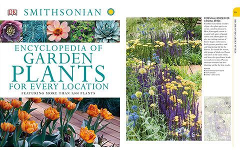 [画集]Encyclopedia of Garden Plants for Every Location[402P]
