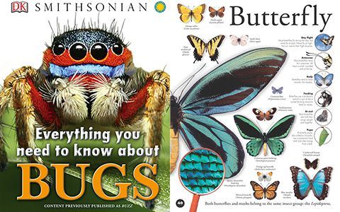 [画集]Everything You Need to Know About Bugs[82P]
