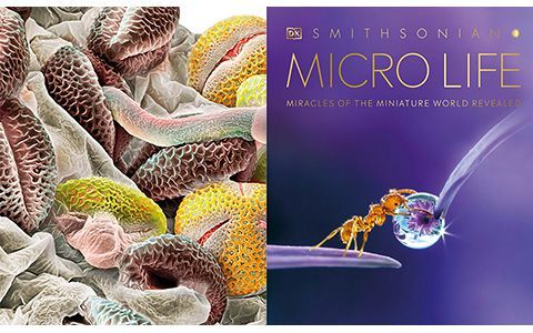 [画集]Micro Life: Miracles of the Miniature World Revealed[416P]