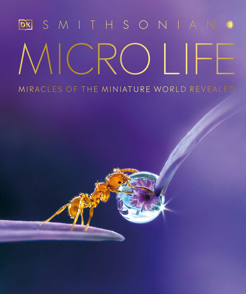 [画集]Micro Life: Miracles of the Miniature World Revealed[416P]