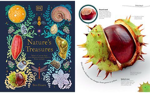 [画集]Nature’s Treasures: Tales of More Than 100 Extraordinary Objects from Nature[194P]