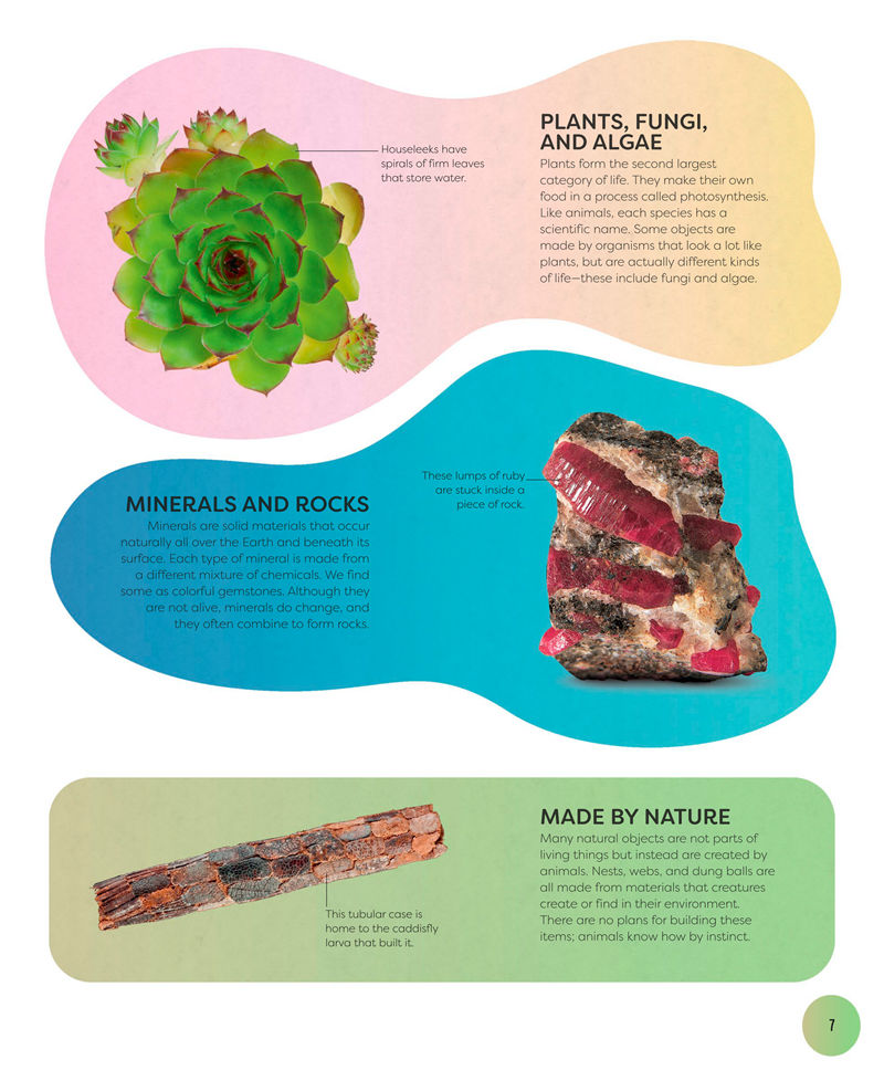 [画集]Nature’s Treasures: Tales of More Than 100 Extraordinary Objects from Nature[194P]
