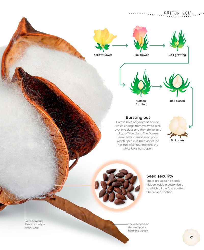 [画集]Nature’s Treasures: Tales of More Than 100 Extraordinary Objects from Nature[194P]