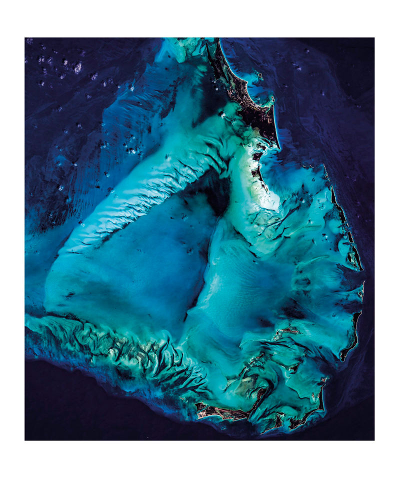 [画集]Oceanology: The Secrets of the Sea Revealed[416P]