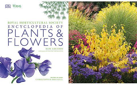 [画集]RHS Encyclopedia of Plants and Flowers[744P]