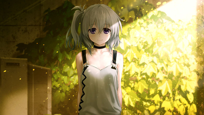 [游戏CG][クロノミツキ 雫将維]Re：LieF ～親愛なるあなたへ～ 精选CG[415P]