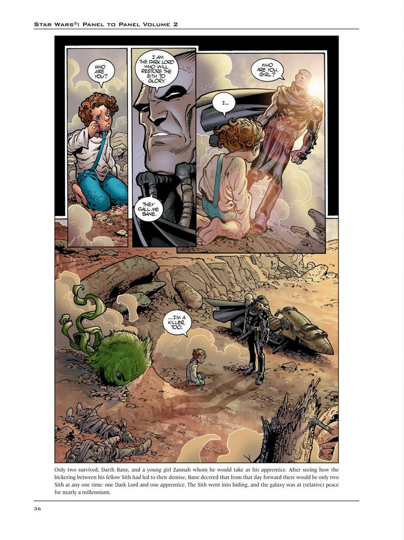[会员][画集]Star Wars Panel To Panel Vol.1~2[368P]