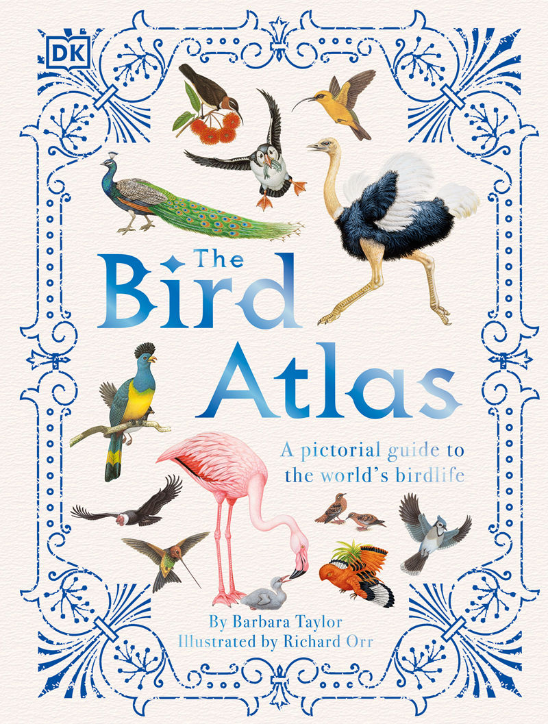 [画集]The Bird Atlas[66P]