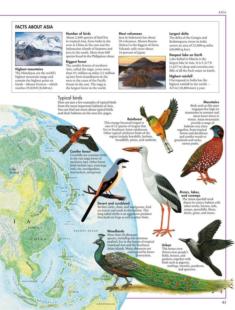 [画集]The Bird Atlas[66P]