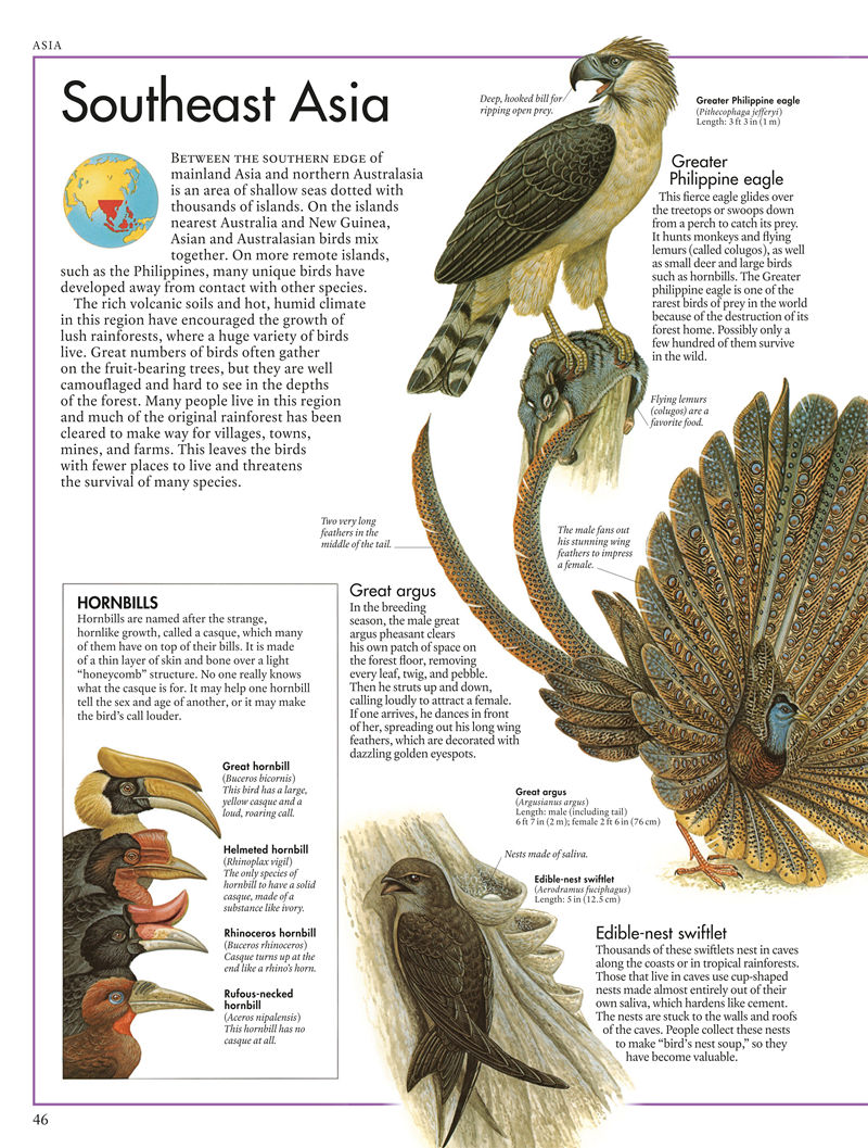[画集]The Bird Atlas[66P]