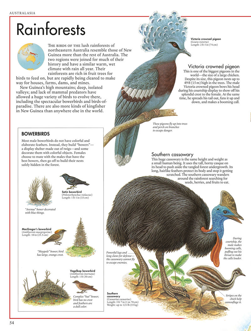 [画集]The Bird Atlas[66P]