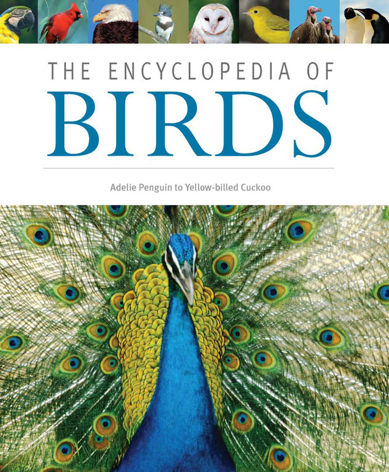 [画集]The Encyclopedia of Birds[1067P]