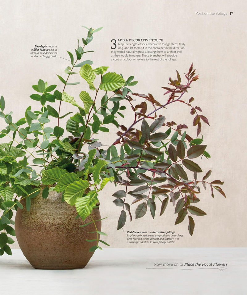 [画集]The Flower Book: Let the Beauty of Each Bloom Speak for Itself[226P]