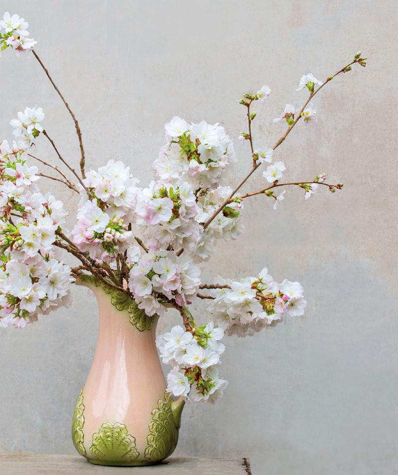 [画集]The Flower Book: Let the Beauty of Each Bloom Speak for Itself[226P]