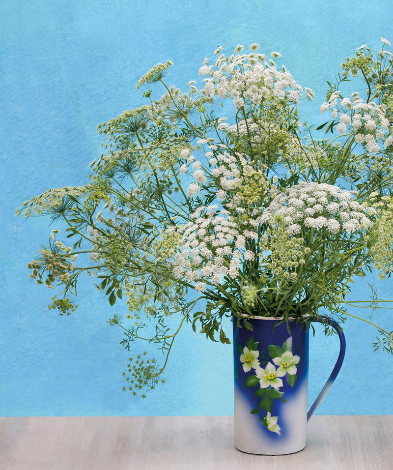 [画集]The Flower Book: Let the Beauty of Each Bloom Speak for Itself[226P]